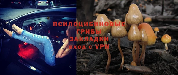 экстази Няндома